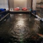 WeChat Image_20171024141851